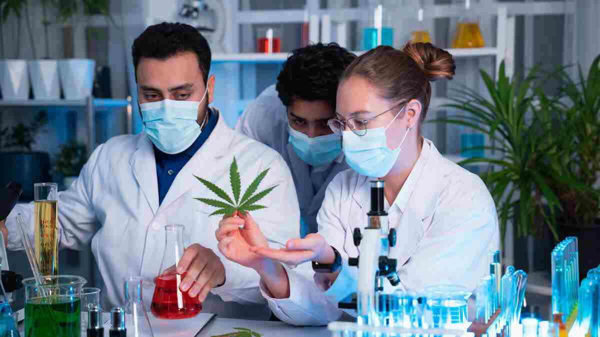 Electronic signature validation in FDA regulated environment