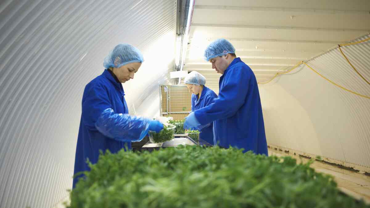 GMP manufacturing facility ensuring FDA compliance standards